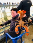 황초사계절 바다낚시조황 > 황산초지 사계절바다낚시터 이벤트 및 2월9일조황 : 낚시사랑