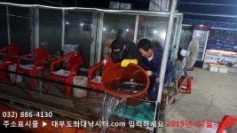 대부도바다낚시터 바다낚시조황 > 대부도수상바다좌대낚시터 2019년 3월 1일 물고기칸개장 우럭,농어 밑고기 대량방류 실시 : 낚시사랑... 