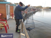 선재낚시공원 바다낚시조황 > 3월17일 조황정보입니다 : 낚시사랑