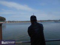 선재낚시공원 바다낚시조황 > 4월1일 조황정보입니다 : 낚시사랑