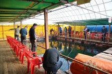 남용호좌대낚시 바다낚시조황 > [남용호] 4월 16, 17일 좌대조황 소식 : 낚시사랑