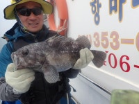 욤신호 바다낚시조황 > 5월13일(장고항용신호)우럭조황 : 낚시사랑