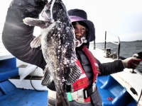 욤신호 바다낚시조황 > 5월28일(장고항용신호)5짜4짜우럭조황 : 낚시사랑