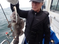 욤신호 바다낚시조황 > 5월28일(장고항용신호)5짜4짜우럭조황 : 낚시사랑