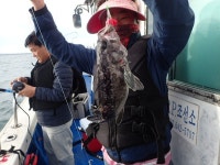 욤신호 바다낚시조황 > 5월28일(장고항용신호)5짜4짜우럭조황 : 낚시사랑