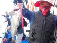 욤신호 바다낚시조황 > 5월28일(장고항용신호)5짜4짜우럭조황 : 낚시사랑