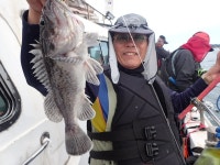 욤신호 바다낚시조황 > 5월28일(장고항용신호)5짜4짜우럭조황 : 낚시사랑