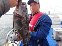 욤신호 바다낚시조황 > 5월28일(장고항용신호)5짜4짜우럭조황 : 낚시사랑