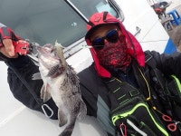 욤신호 바다낚시조황 > 5월28일(장고항용신호)5짜4짜우럭조황 : 낚시사랑