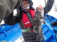 욤신호 바다낚시조황 > 5월28일(장고항용신호)5짜4짜우럭조황 : 낚시사랑