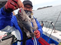 욤신호 바다낚시조황 > 5월28일(장고항용신호)5짜4짜우럭조황 : 낚시사랑