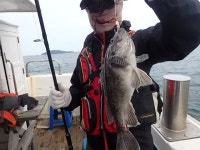 욤신호 바다낚시조황 > 5월28일(장고항용신호)5짜4짜우럭조황 : 낚시사랑