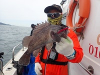 욤신호 바다낚시조황 > 5월28일(장고항용신호)5짜4짜우럭조황 : 낚시사랑