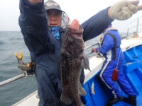 욤신호 바다낚시조황 > 5월30일(장고항용신호)5짜4짜우럭~굿조황 : 낚시사랑