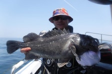 남항 나이스호 바다낚시조황 > 6월 13일 인천 남항 나이스낚시 나이스호 굳~! 조황~!~! : 낚시사랑