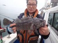 욤신호 바다낚시조황 > 6월14일(장고항용신호)4짜5짜 우럭조황 : 낚시사랑