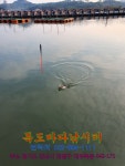 독도바다낚시터 바다낚시조황 > 2019년8월9일조황사진 : 낚시사랑