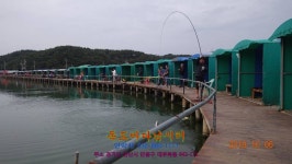 독도바다낚시터 바다낚시조황 > 독도 바다 낚시터 2019년 10월 06일 노지조황 : 낚시사랑