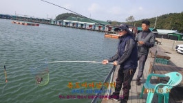 독도바다낚시터 바다낚시조황 > 독도 바다 낚시터 2019년 10월 31일 노지조황 : 낚시사랑