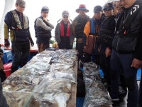 장고항경영호 바다낚시조황 > 11월3일 조황사진입니다. : 낚시사랑  장고항경영호 바다낚시조황 > 11월3일 조황사진입니다. : 낚시사랑