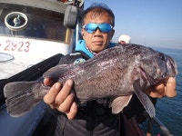 장고항경영호 바다낚시조황 > 11월4일 조황사진입니다. : 낚시사랑  장고항경영호 바다낚시조황 > 11월4일 조황사진입니다. : 낚시사랑