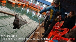 대부도바다낚시터 바다낚시조황 > 랍스터낚시터 대부도수상바다좌대낚시터 2019년 11월 25일 월요일 랍스터 자연산돌문어 우럭 농어등 조황 :..