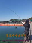 독도바다낚시터 바다낚시조황 > 독도 바다 낚시터 2019년 11월 29일 노지조황 : 낚시사랑