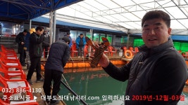 대부도바다낚시터 바다낚시조황 > 랍스터낚시터 대부도수상바다좌대낚시터 2019년 12월 3일 화요일 랍스터 우럭 농어등 조황 : 낚시사랑