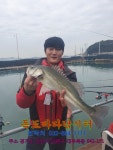 독도바다낚시터 바다낚시조황 > 2019년 12월 25일 독도 미니좌대 하우스 랍스터+고기대박조황 : 낚시사랑