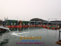 독도바다낚시터 바다낚시조황 > 2019년 12월 29일 독도 바다 좌대 고기+랍스터 대박조황 : 낚시사랑