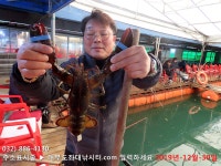 대부도바다낚시터 바다낚시조황 > 랍스터낚시터 대부도수상바다좌대낚시터 2019년 12월 30일 월요일 랍스터 우럭 조황 및 연말연시이벤트 : ..