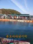 독도바다낚시터 바다낚시조황 > 2020년 01월 03일 독도바다좌대 활어 +랍스터 조황 : 낚시사랑