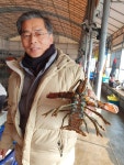황초사계절 바다낚시조황 > [황산초지 사계절 바다낚시터] 1월04일 조황정보 : 낚시사랑