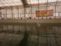 궁평바다낚시터 바다낚시조황 > 궁평바다 실내낚시터 01월 07일 화요일 활어입고 (우럭 , 방어) 및 조황사진입니다. : 낚시사랑