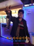 독도바다낚시터 바다낚시조황 > 2020년 01월 08일 독도 바다 좌대 + 미니노지 (랍스타+활어) : 낚시사랑  독도바다낚시터 바다낚시조황... 