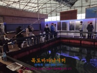 독도바다낚시터 바다낚시조황 > 2020년 01월 17일 독도 바다 좌대 미니노지 조황 : 낚시사랑