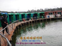 독도바다낚시터 바다낚시조황 > 3월1일노지조황(1) : 낚시사랑