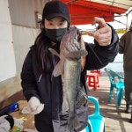 아쿠아좌대 바다낚시조황 > 당진3월일21조황 : 낚시사랑