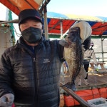 아쿠아좌대 바다낚시조황 > 당진3월일30조황 : 낚시사랑  아쿠아좌대 바다낚시조황 > 당진3월일30조황 : 낚시사랑