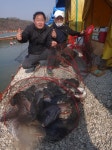 서울바다낚시터 바다낚시조황 > ☞문의 032) 884-4488 경기도 안산시 단원구 대부북동 1870-12번지 는 평일에도 오전,오후 두..