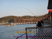 독도바다낚시터 바다낚시조황 > 4월13일노지조황 : 낚시사랑