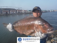 정성바다낚시터 바다낚시조황 > 4월 18일(토) 조황 : 낚시사랑