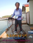 독도바다낚시터 바다낚시조황 > 6월21일노지조황 : 낚시사랑