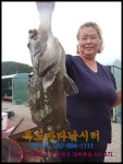 독도바다낚시터 바다낚시조황 > 독도낚시터7월26일노지조황 : 낚시사랑