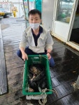  도비도바람 바다낚시조황 > 8/7  도비도  부흥호좌대  조황 : 낚시사랑