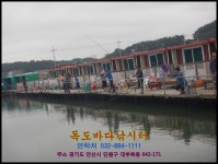 독도바다낚시터 바다낚시조황 > 8월12일노지조황 : 낚시사랑