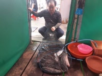  선재바다낚시터 바다낚시조황 > 안녕하세요,,루어낚시가 가능한 국내 최초 루어유료낚시터입니다.-www.선재낚시터.com : 낚시사랑