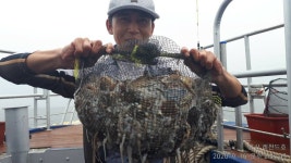 군산새만금낚시 바다낚시조황 > 9월16일(수) 군산쭈꾸미배낚시 조황!!! - 레전드호- : 낚시사랑