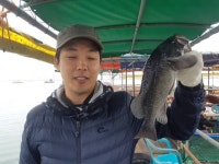  어심바다낚시터 바다낚시조황 > 10월21일 조황  : 낚시사랑