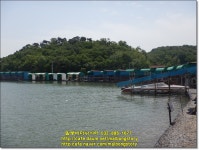 말봉바다낚시터 바다낚시조황 > 2021년 5월26일(수) 노지 조황사진입니다 : 낚시사랑